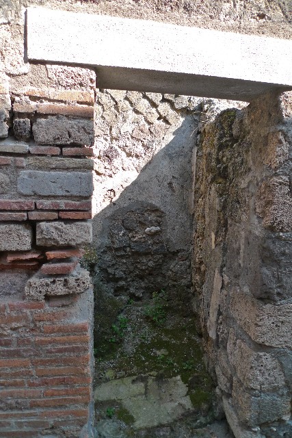 IX.9.c Pompeii.  March 2009.  Looking east along entrance fauces towards garden.