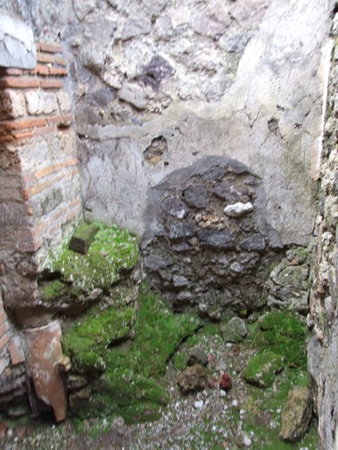 IX.9.c Pompeii.  March 2009.  Cubiculum.  North wall.