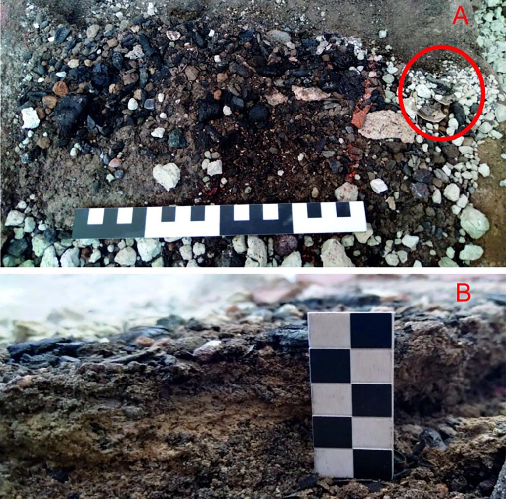 IX.10.1 Pompeii. September 2023. Lararium and altar recently found in room 12.
Traces of combustion on the altar during micro-excavation. Detail of the first level of the deposit (A); Deposit in section (B).
Tracce di combustione sull’altare in fase di microscavo. Dettaglio del primo livello del deposito (A); Sezione del deposito (B). 
See PAP e-journal 6, 28.09.2023, p. 67, fig. 18. Download: PAP e-journals 2023 collection volumes 01-09 
Photograph © Parco Archeologico di Pompei.
