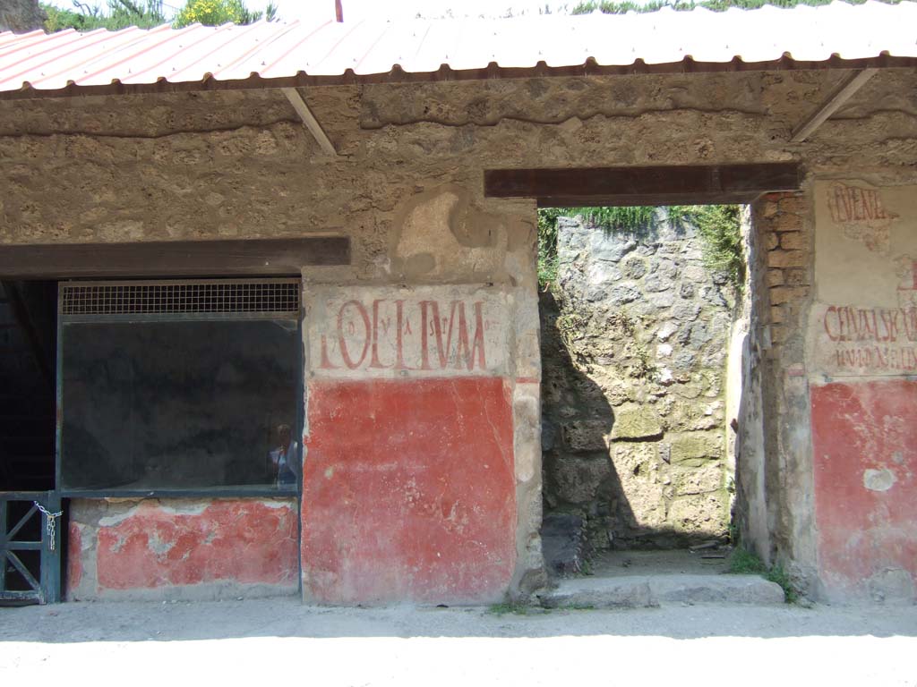 IX.11.2 and IX.11.3 Pompeii. May 2006. Graffiti between entrances 2 and 3.