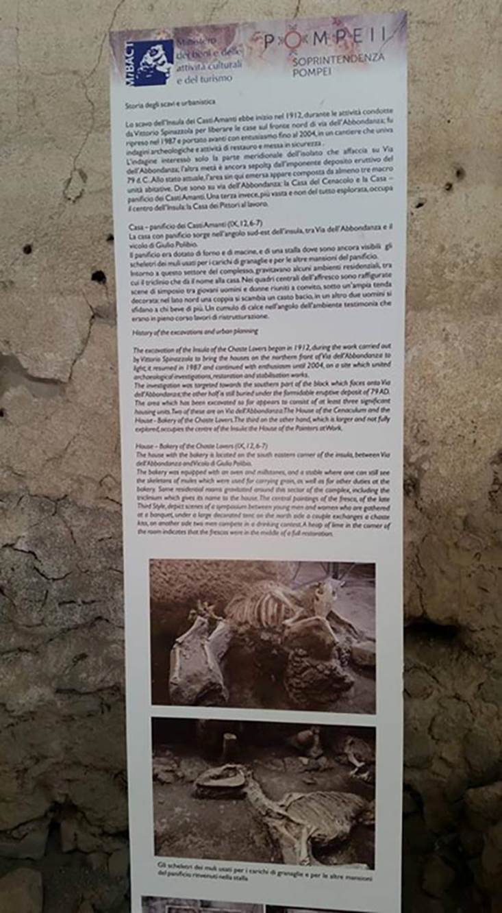 IX.12 Pompeii, 2016/2017. Information card. Photo courtesy of Giuseppe Ciaramella.