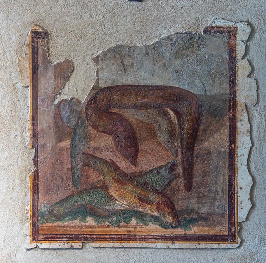 IX.12.9 Pompeii. May 2010. Room 16, east end of north wall, painted medallion with floating figures.