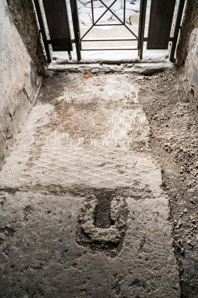 IX.13.3 Pompeii. October 2021. 
Room 1, looking south across flooring in entrance corridor. Photo courtesy of Johannes Eber.
