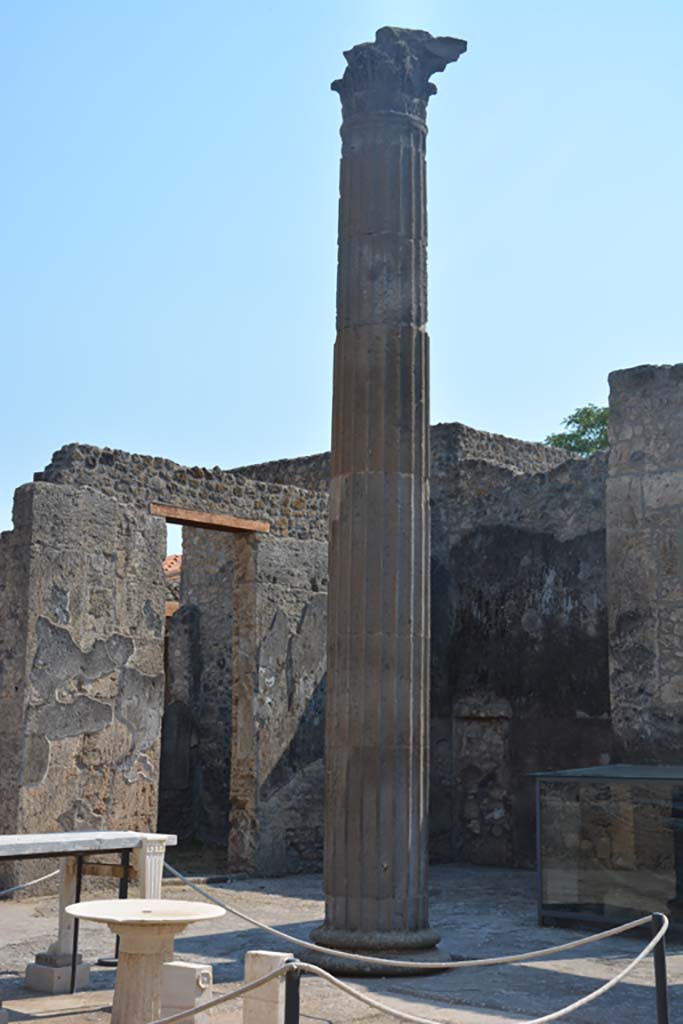 IX.14.4 Pompeii. May 2017. Detail of impluvium in atrium. Photo courtesy of Buzz Ferebee.