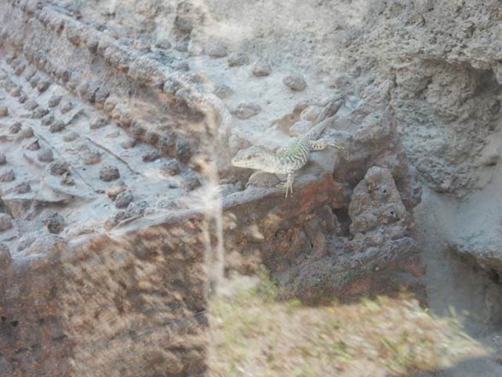 IX.14.4 Pompeii. May 2017. Detail from arca or money chest.  Photo courtesy of Buzz Ferebee.