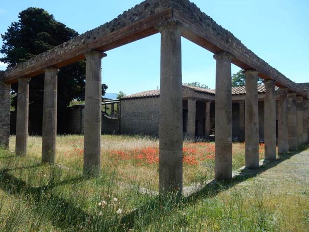 IX.14.4 Pompeii. May2017. Peristyle 1, looking south-west across north portico towards room 3 and room 5.  Photo courtesy of Buzz Ferebee.


