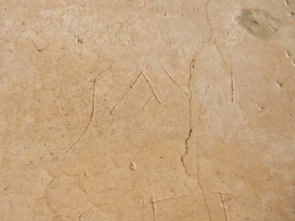IX.14.4 Pompeii. May 2017. Graffito under the staircase on north side of peristyle.
This reads Sauf(ei).
Photo courtesy of Buzz Ferebee.
