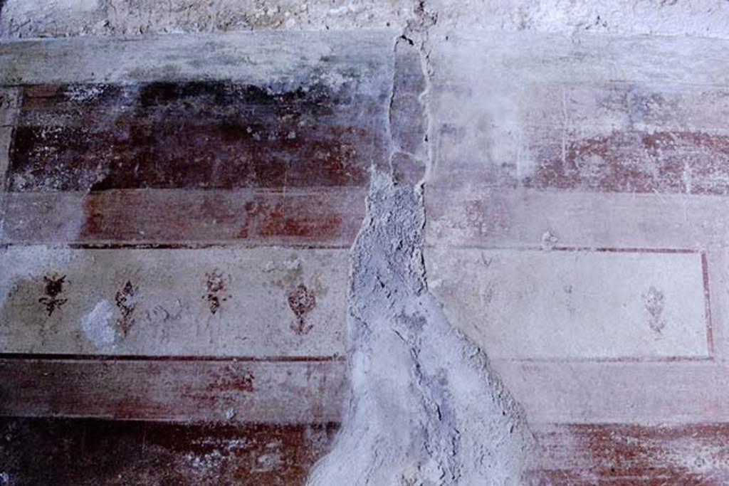 IX.14.4 Pompeii. May 2005. Room 3, oecus east wall. 