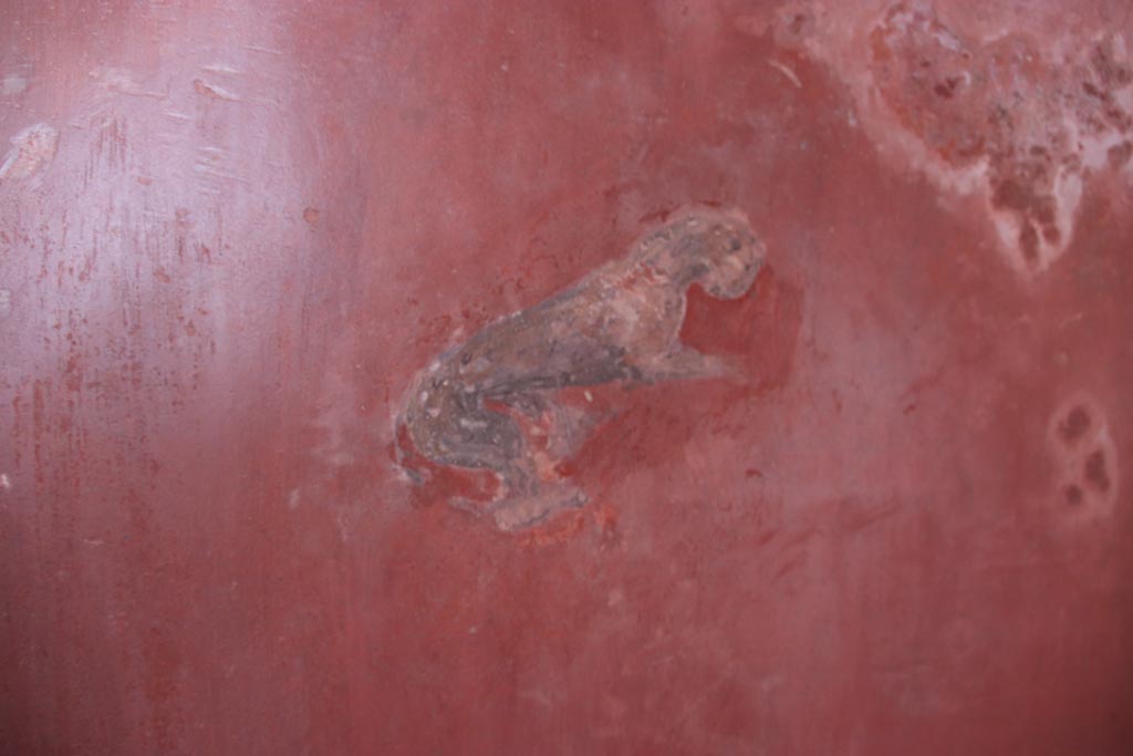HGW24 Pompeii. Villa of Diomedes. October 2023. 
East wall at south end, detail of painted panther from centre of panel. Photo courtesy of Klaus Heese.
(Villa Diomedes Project – area 61).
(Fontaine, room 5,13).
