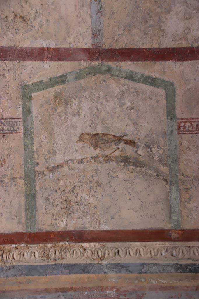 HGW24 Pompeii. Villa of Diomedes. October 2023. 
Detail of painted bird on south side of vaulted ceiling. Photo courtesy of Klaus Heese.
(Villa Diomedes Project – area 61).
(Fontaine, room 5,13).
