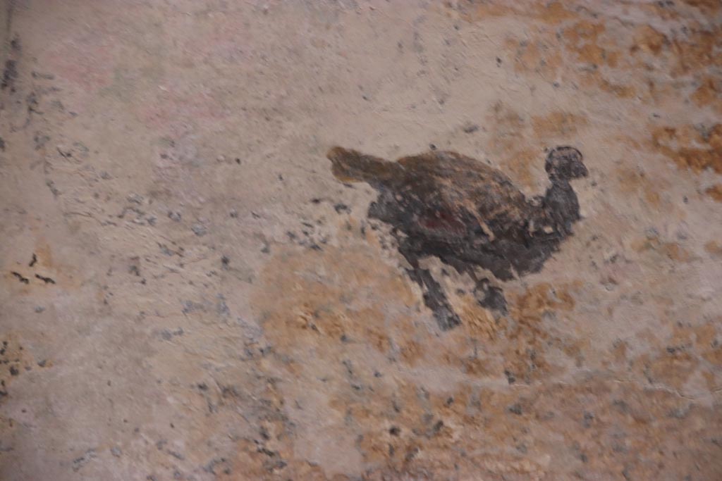 HGW24 Pompeii. Villa of Diomedes. October 2023. Detail of painted bird from west end of ceiling. Photo courtesy of Klaus Heese.
(Villa Diomedes Project – area 61).
(Fontaine, room 5,13).
