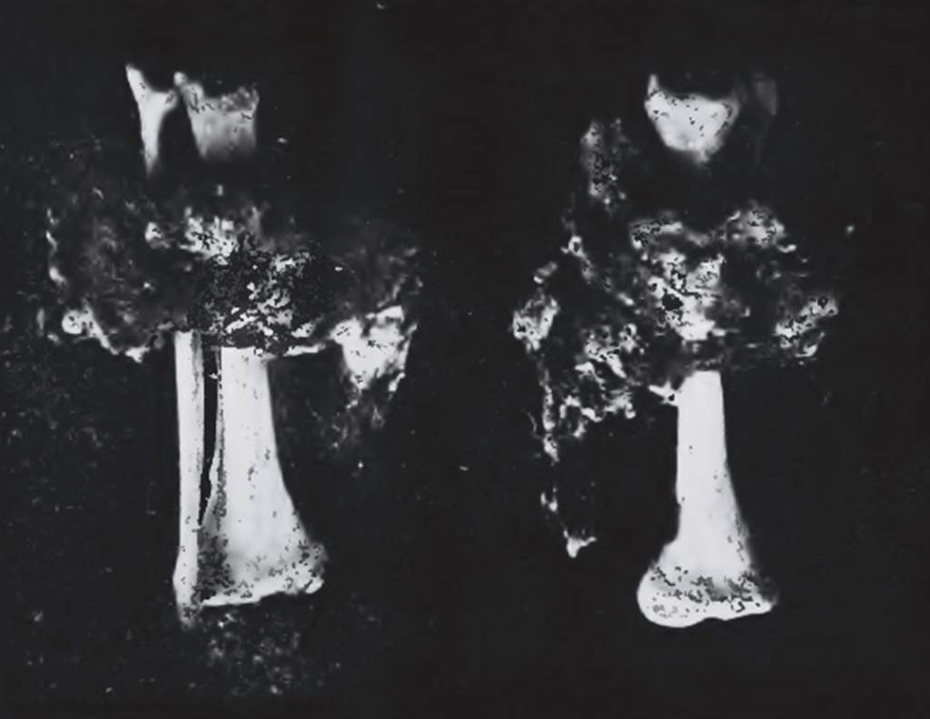 HGE12 Pompeii. 17th October 1905. Photo of iron fetters around leg bones of a slave. See Notizie degli Scavi di Antichit, 1910, p. 259-260, fig. 3.
