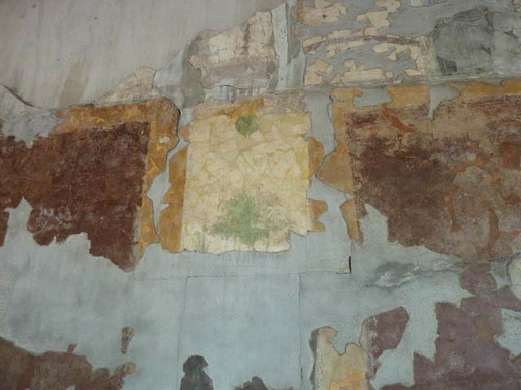 Villa San Marco, Stabiae, September 2015. Room 3, painted panel on west wall of portico.