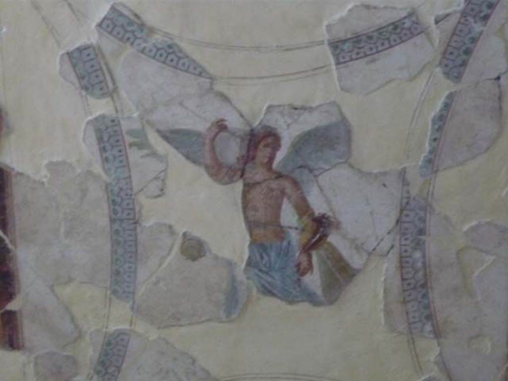 Villa San Marco, Stabiae, 2010. Room 14, detail of the winged goddess Fortuna on the ceiling.
Photo courtesy of Buzz Ferebee.
