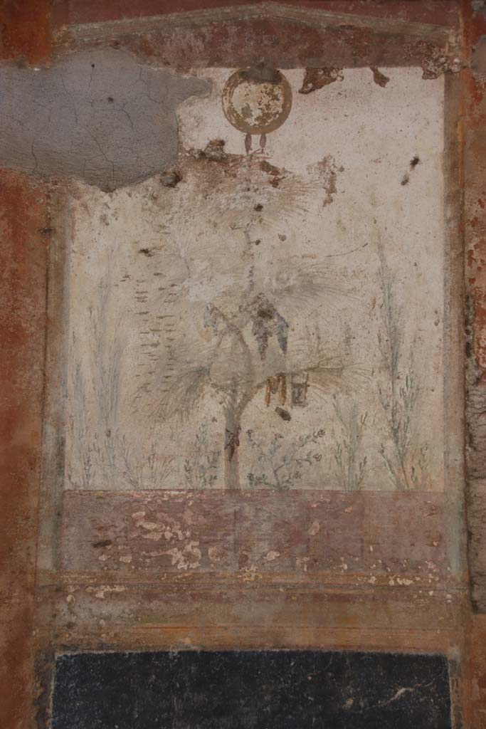 Villa San Marco, Stabiae, September 2019. 
Room 20, east wall, detail of fresco on painted panel, on the left of the 18th century hole. Photo courtesy of Klaus Heese.
