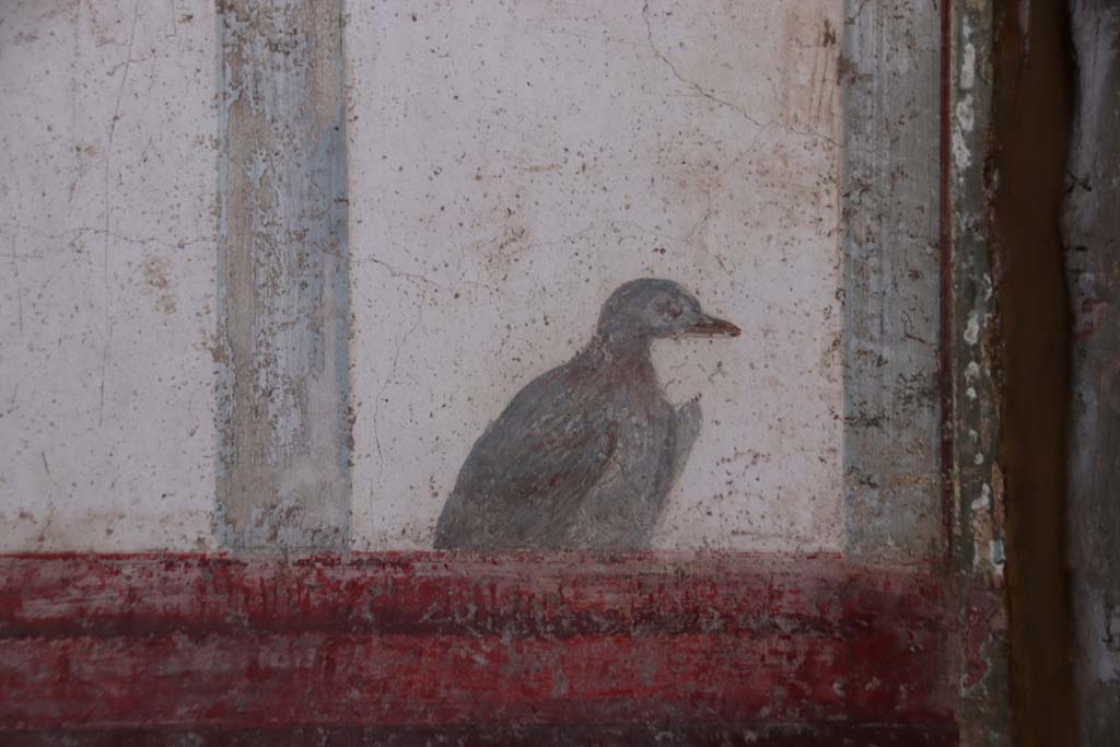 Villa San Marco, Stabiae, September 2019. Room 50, detail of bird from north end of west wall. Photo courtesy of Klaus Heese.