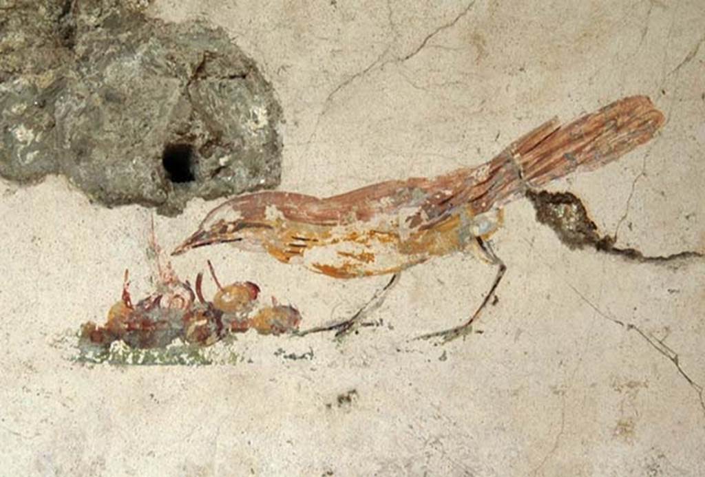 Castellammare di Stabia, Villa San Marco, December 2006. Paintiong of bird with cherries on west wall of room 57.