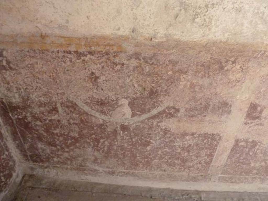 Villa San Marco, Stabiae, September 2015. Room 57, painted bird on zoccolo of west wall in south-west corner.

