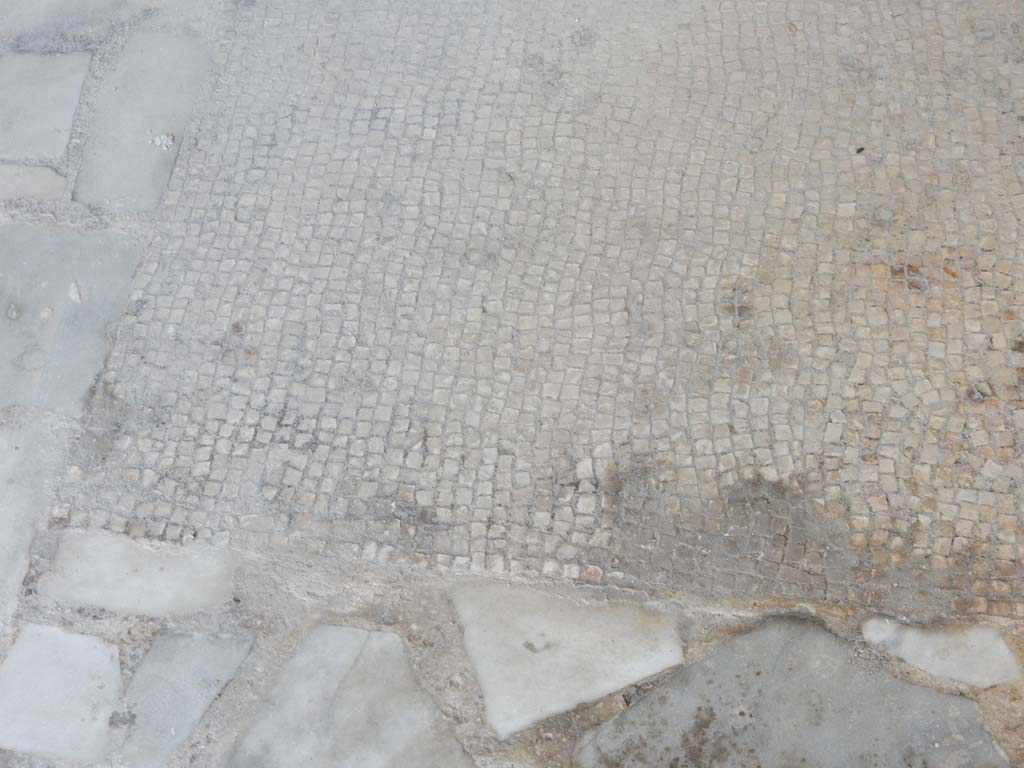 Villa San Marco, Stabiae, June 2019. Room 45, mosaic on upper step to lararium. Photo courtesy of Buzz Ferebee