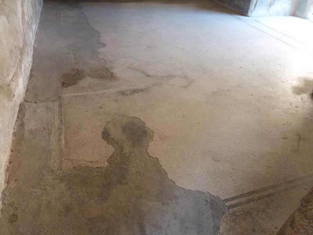 Villa San Marco, Stabiae, September 2015. Room 35, mosaic flooring.