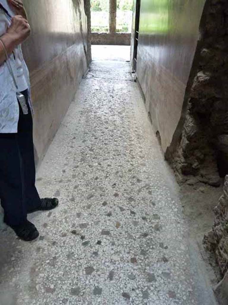 Villa of Mysteries, Pompeii. May 2010. Floor of corridor F2, looking north from atrium.