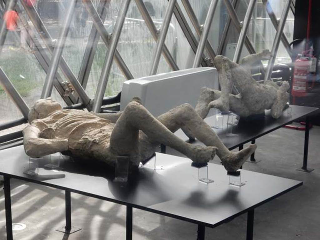 Piazza Anfiteatro. May 2018. General view of two more plaster-casts in the exhibition centre. 
Photo courtesy of Buzz Ferebee. 
On the left is the plaster-cast known as Victim No.9.
The cast on the right is a mystery, see other four photos below. 
