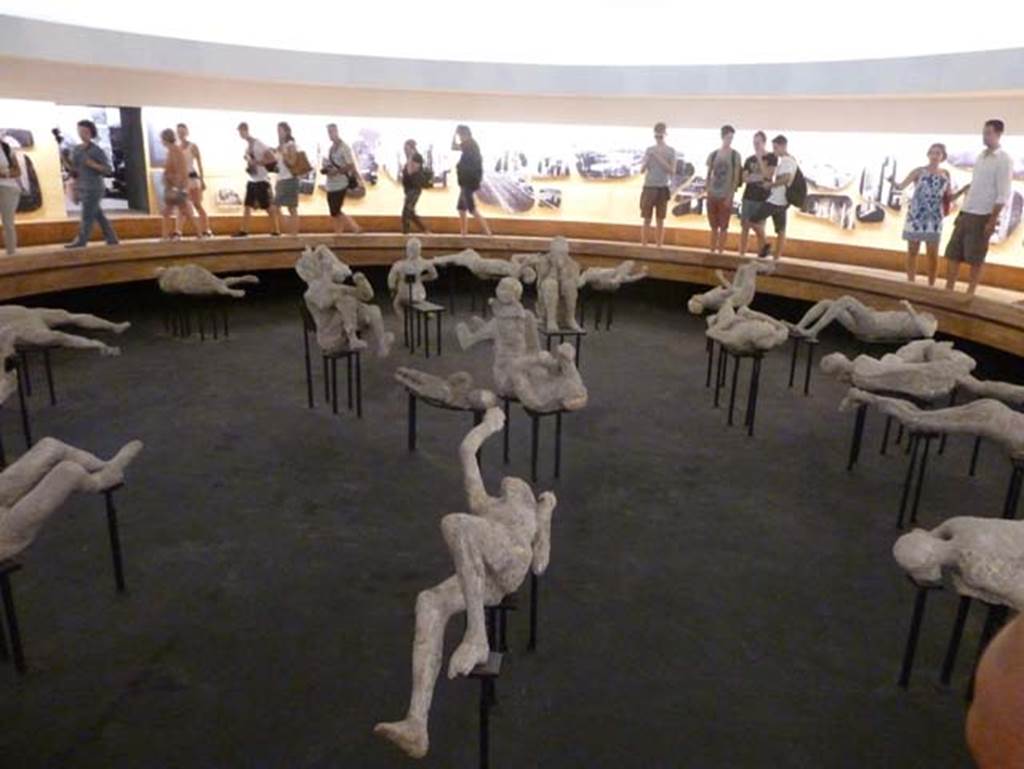 Plaster-casts on display in amphitheatre exhibition.  September 2015, 
The mystery cast is in the lower centre.
