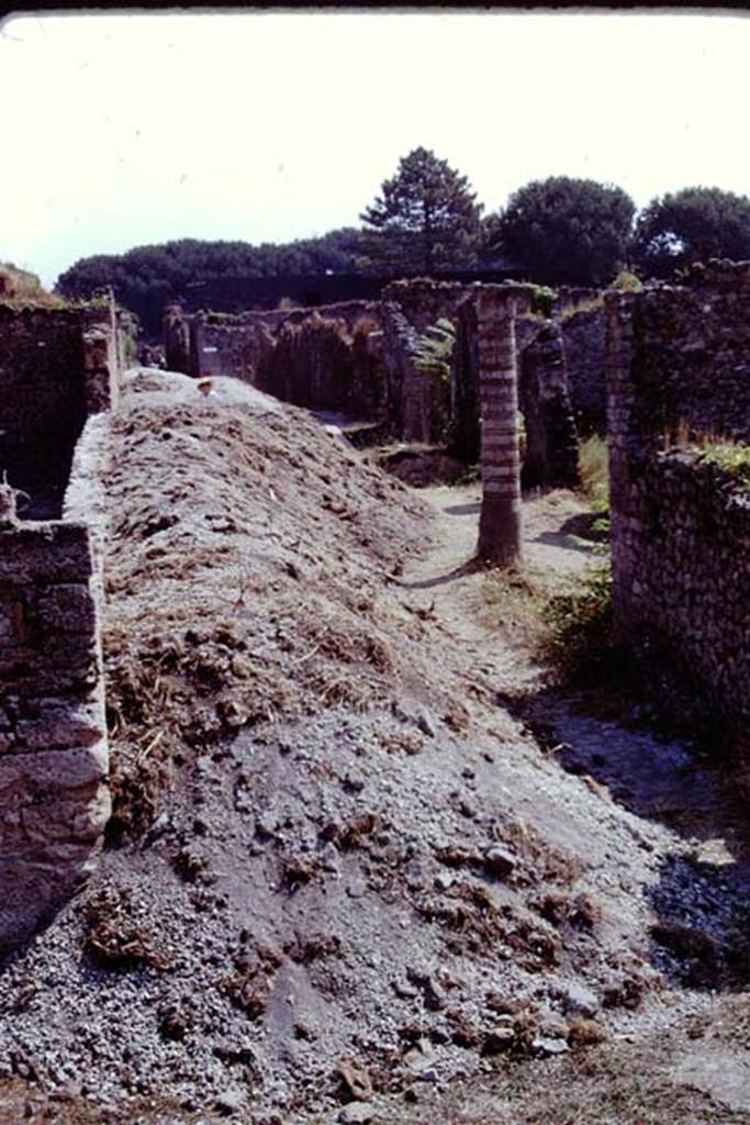 Via della Palestra, Pompeii. 1973. Looking east along north side of I.21, from between I.15 and I.21.   Photo by Stanley A. Jashemski. 
Source: The Wilhelmina and Stanley A. Jashemski archive in the University of Maryland Library, Special Collections (See collection page) and made available under the Creative Commons Attribution-Non Commercial License v.4. See Licence and use details.  J73f0664
