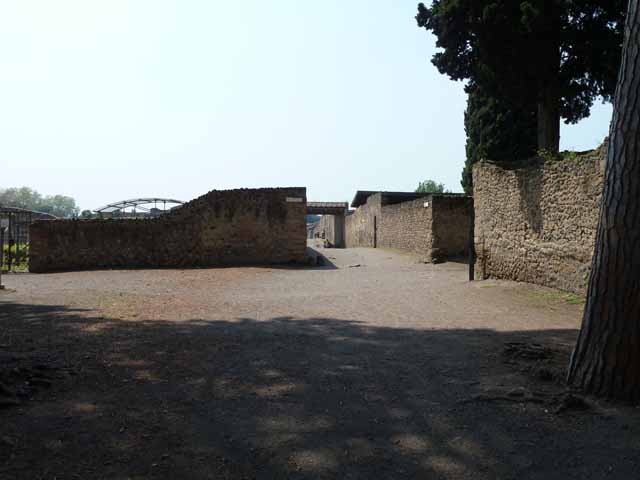 Via di Castricio, May 2010. Remains of plaster and graffiti on west end of outer north wall of the Palestra. According to Varone and Stefani, at the right hand end of the many graffiti found were CIL IV 7589, 7590, 7989b. According to Epigraphik-Datenbank Clauss/Slaby (See www.manfredclauss.de) these read as

M(arcum) Holconium Priscum IIvir(um) i(ure) d(icundo)       [CIL IV 7589]

T(h)yasotas      [CIL IV 7590]    
According to Varone and Stefani this perhaps reads as Santas written for Xanthias.

Celer lorarius Maio delibat
Maio principi coloniae felic(iter)      [CIL IV 7989b]

See Varone, A. and Stefani, G., 2009. Titulorum Pictorum Pompeianorum, Rome: L’erma di Bretschneider.  (p. 222-4).
