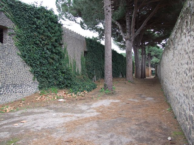 Via di Castricio, north side, May 2010. Looking north-east towards the junction with Vicolo della Venere, between II.2 and II.3.