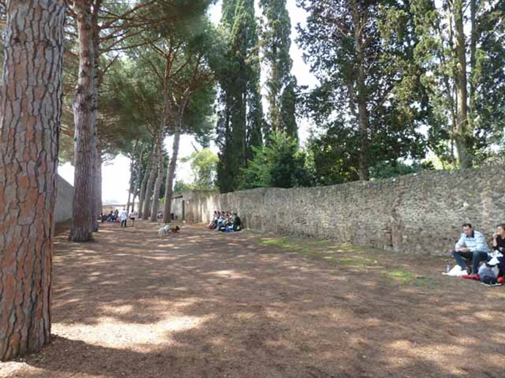 Via di Castricio, north side, May 2010. South exterior wall of II.4. Looking west.