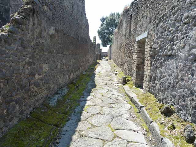 Vicolo dei Dodici Dei, west side, May 2010. Looking north at VIII.3.14, near junction.