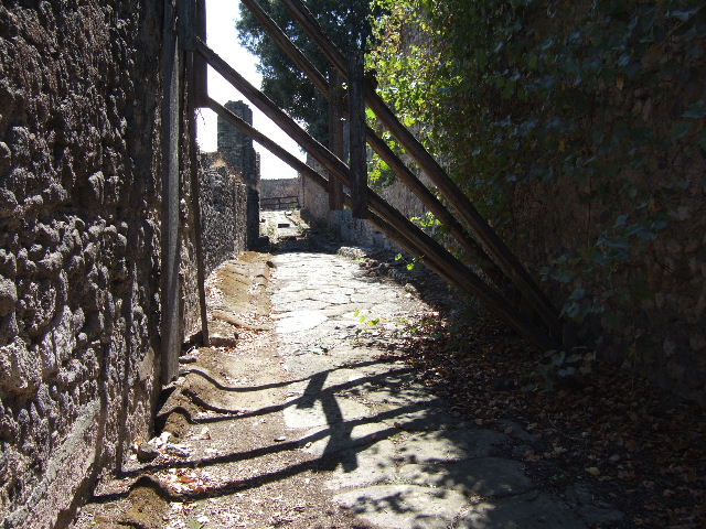 Vicolo dei Dodici Dei. May 2010.  Looking north between VIII.3 and VIII.6.