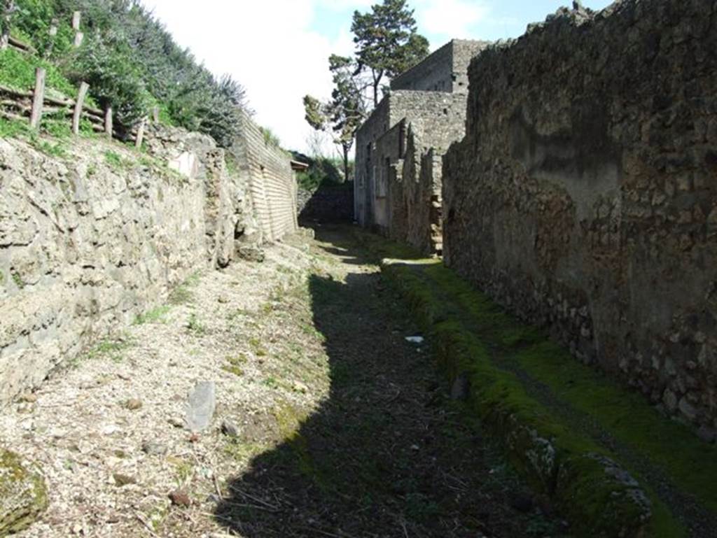 Vicolo delle Nozze d’Argento. March 2009. Looking east to blocked end of vicolo and V.2.i.  
In 2018 the blocked end of the vicolo was excavated and joined with the newly excavated Vicolo c.d. Balconi.
