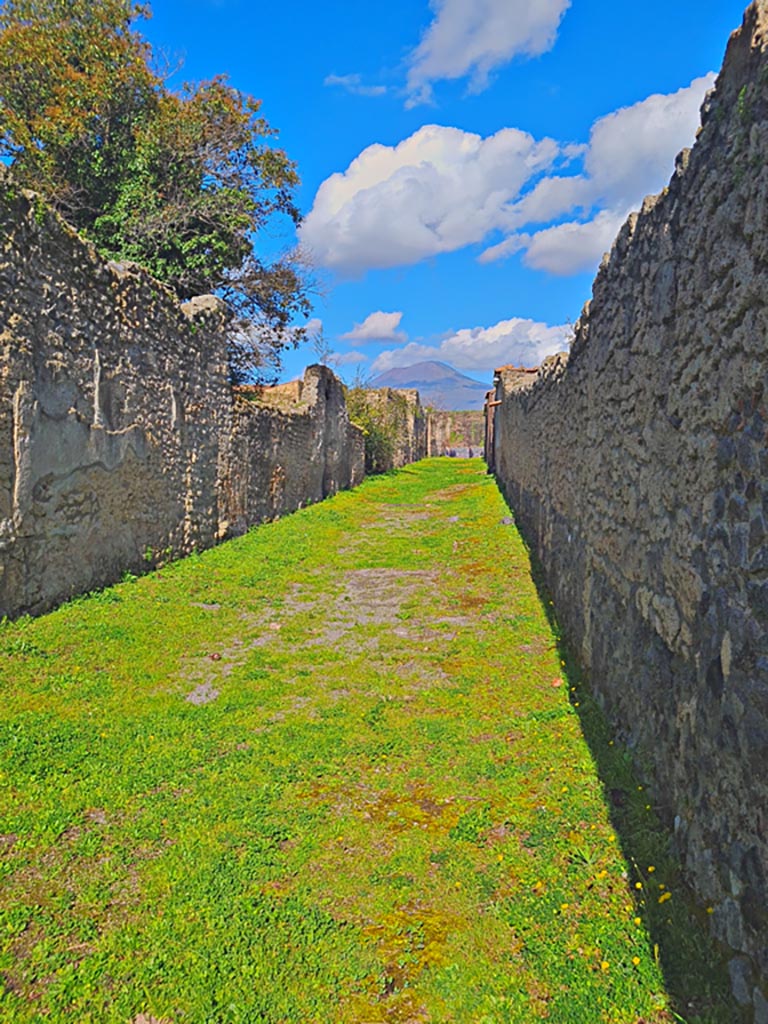 Vicolo di Giulia Felice, Pompeii. March 2024. 
Looking north from junction with Via di Castricio. Photo courtesy of Giuseppe Ciaramella.
