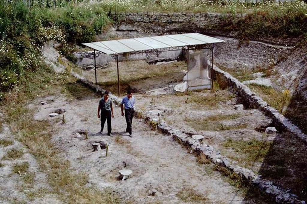 Scafati, 1968. On the left are the ancient furrows, and then the plaster-casts of 6 tree root-cavities.
The men are working along the route of the small ancient roadway, two metres wide.
The triangular tomb enclosure is on the right, and the remains of the tomb, together with 6 tree root-cavities can be seen. 
Photo by Stanley A. Jashemski.
Source: The Wilhelmina and Stanley A. Jashemski archive in the University of Maryland Library, Special Collections (See collection page) and made available under the Creative Commons Attribution-Non Commercial License v.4. See Licence and use details.
J68f1082
