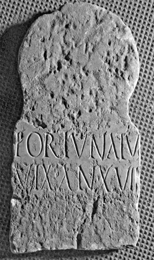 FS97-6. Marble columella of Fortunatus.
Inscription reads

FORTVNATVs
VIX   •   AN    •   XVII

Fortunatus
vix(it) an(nis) XVII

Burial of a slave.
See Notizie degli Scavi di Antichità, 1897, p. 276, no. 6.
Photo © Umberto Soldovieri.
