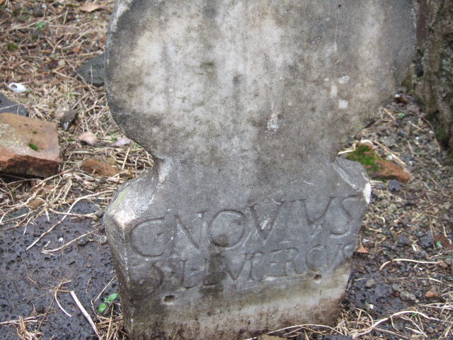FPNE Pompeii. December 2005. Marble cippus in south-east corner of tomb area with inscription

CN. TVRRANIVS.
PRIMVS VIX ANN XXXX.

D’Ambrosio and De Caro expand this to:
Cn(aeus). Turranius.
Primus Vix(it) Ann(is) XXXX.

See D’Ambrosio A. and De Caro S., 1988. Römische Gräberstraßen. München: C.H.Beck. p. 208.