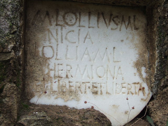 FPNI Pompeii. August 2011. Plaque in centre of south side with inscription.

M  LOLLIVS  M  L 
NICIA
LOLLIA M  L  
HERMIONA 
ET LIBERT ET LIBERTA.

Photo courtesy of Peter Gurney.
