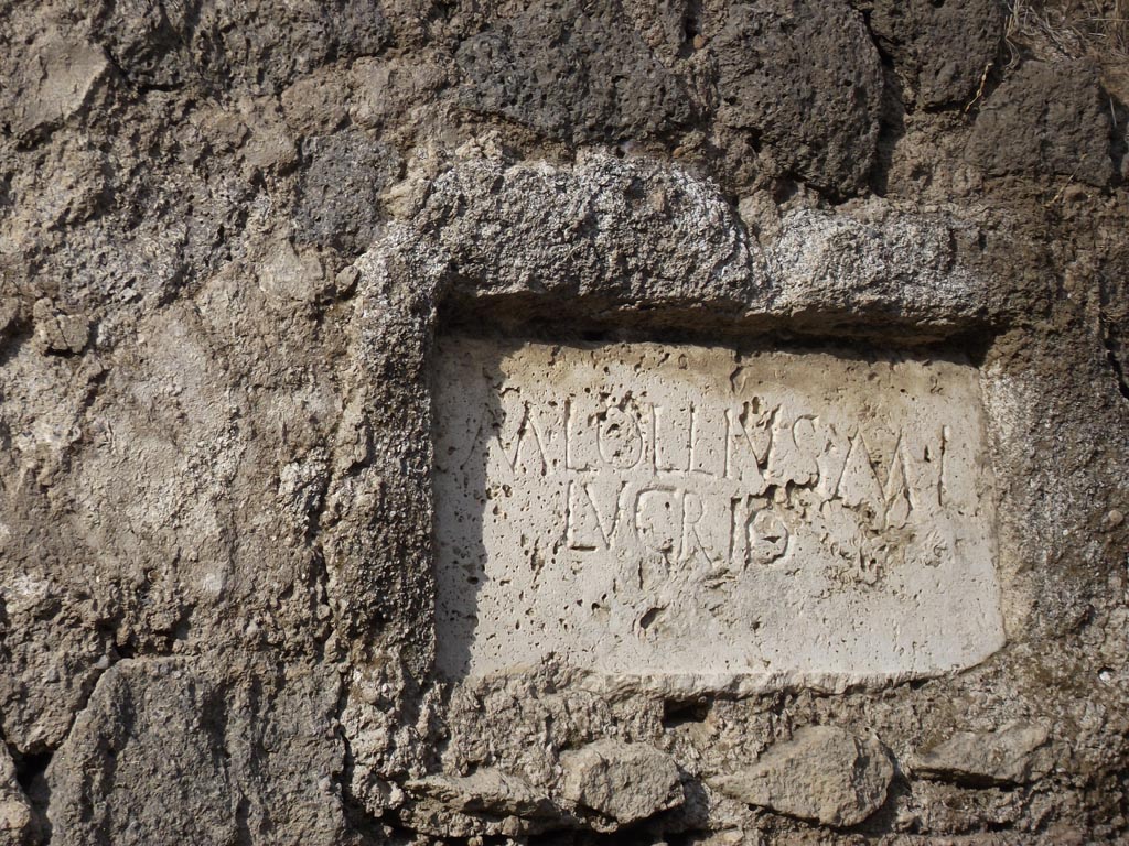 FPNI Pompeii. December 2005. Plaque in centre of south side with inscription.
According to D’Ambrosio and De Caro, this read

M  LOLLIVS  M  L 
NICIA
LOLLIA M  L  
HERMIONA 
ET LIBERT ET LIBERTA.

They expand this to

M(arcus)  Lollius  M(arci)  l(ibertus) 
Nicia
Lollia M(arci)  l(iberta)  
Hermiona 
et libert(i) et Liberta(e).

See D’Ambrosio A. and De Caro S., 1988. Römische Gräberstraßen. München: C.H.Beck. p. 214.