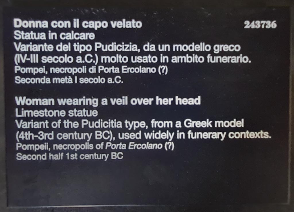 HGE39 Pompeii. April 2023. 
Descriptive card for inv. 243736 from “Campania Romana” gallery in Naples Archaeological Museum. Photo courtesy of Giuseppe Ciaramella.


