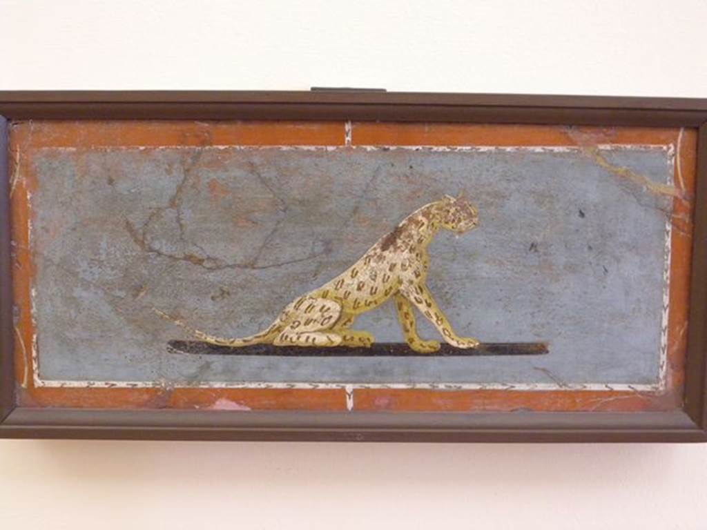 HGW04a Pompeii. Found 2nd July 1763 on the north wall of the enclosure separating HGW04a from HGW04. Wall painting of tiger or panther on blue background. Now in Naples Archaeological Museum.  Inventory number 8650. See Pagano, M. and Prisciandaro, R., 2006. Studio sulle provenienze degli oggetti rinvenuti negli scavi borbonici del regno di Napoli. Naples : Nicola Longobardi. (p. 44).