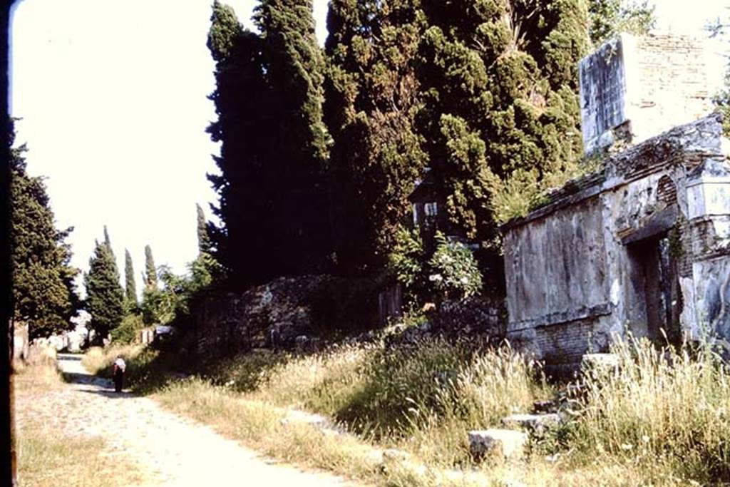 HGW17Pompeii. 1964. Looking south-west towards the front of the tomb.  Photo by Stanley A. Jashemski.
Source: The Wilhelmina and Stanley A. Jashemski archive in the University of Maryland Library, Special Collections (See collection page) and made available under the Creative Commons Attribution-Non Commercial License v.4. See Licence and use details.
J64f1834
