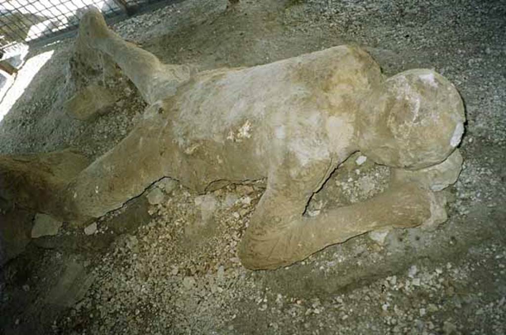 Pompeii, outside Porta Nocera. July 2010. Plaster cast of a fleeing victim, found in September 1956. A press photo dated 10th September 1956, in Rick’s collection, identifies this cast as one from Porta Nocera. Photo courtesy of Rick Bauer. 