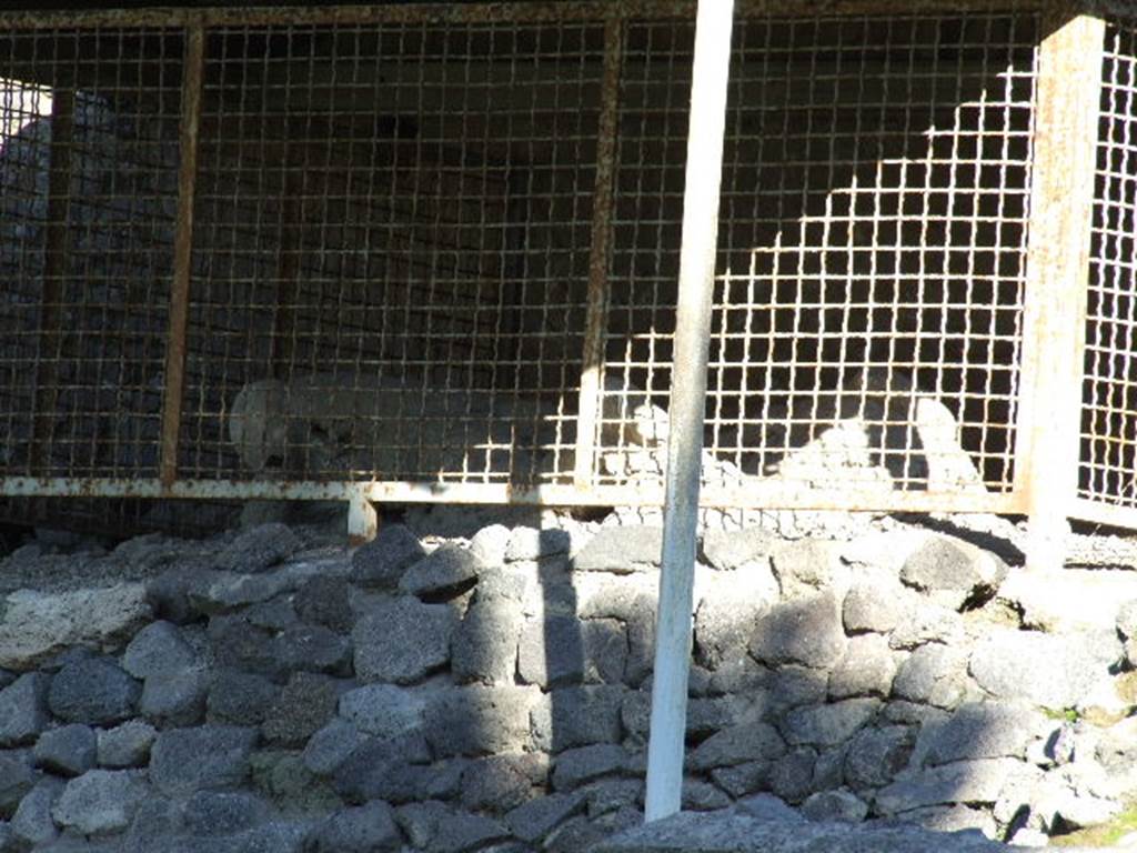 North-west side of Pompeii Via delle Tombe, plaster casts of victims. May 2006.