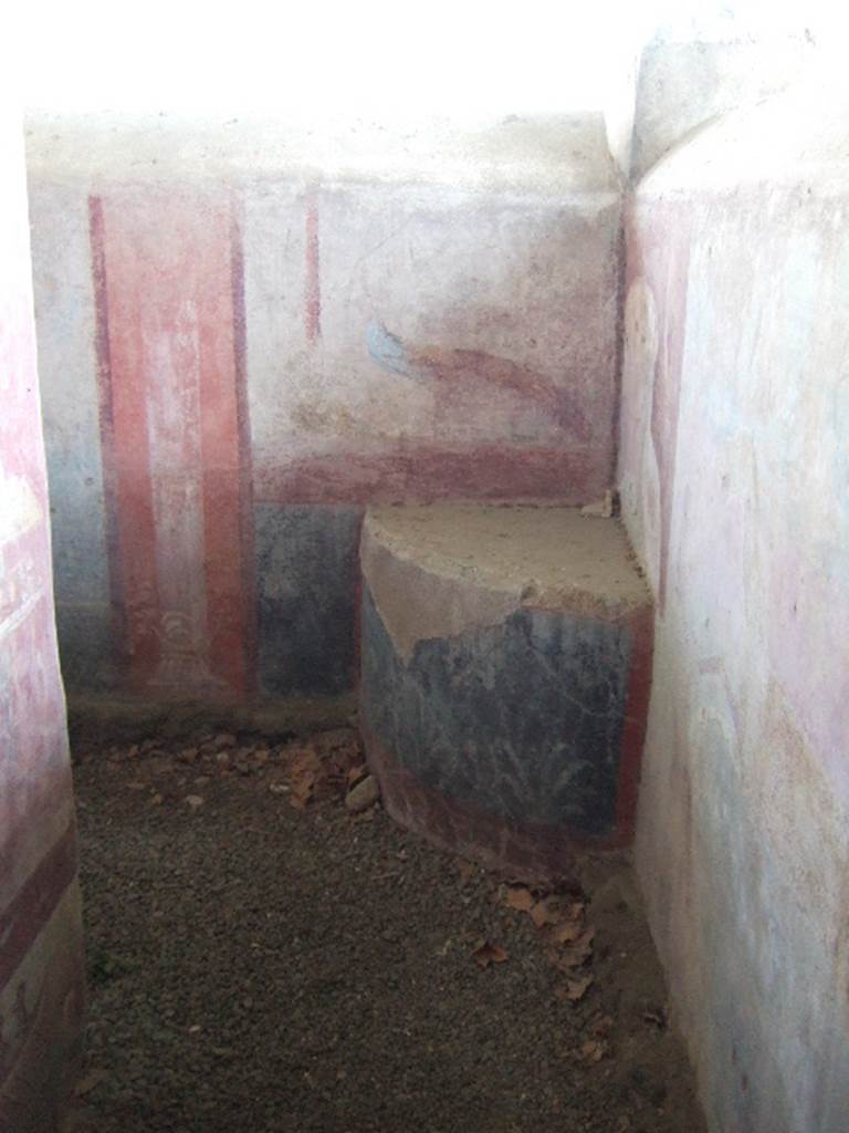 VGJ Pompeii.  May 2006.  Looking east along inner side of south wall.  A painting of a white herm in a red background is just visible to the left of the peacock painting. 