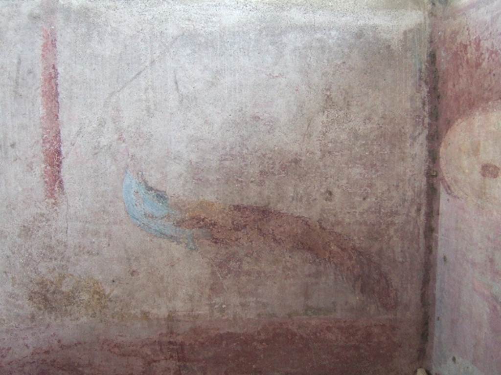 VGJ Pompeii. May 2006. Inner side of east wall of tomb with a painting of a peacock.