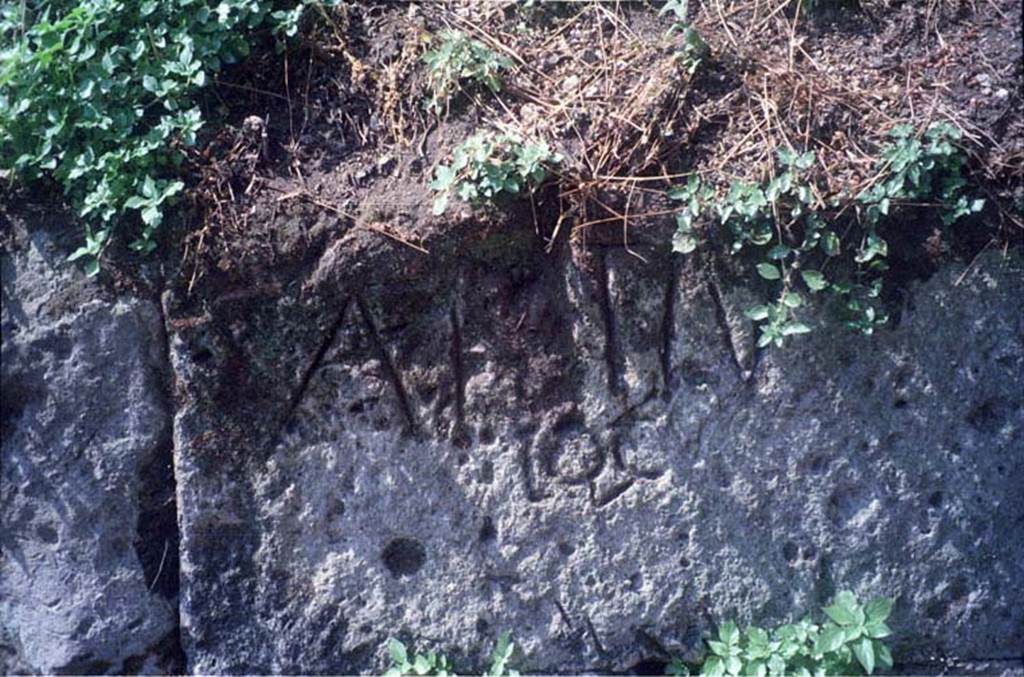 Tombs PSPN Pompeii. July 2011. Walls near Tower VII. Inscription to Aulius Fistium? Photo courtesy of Rick Bauer.
According to Epigraphik-Datenbank Clauss/Slaby (See www.manfredclauss.de) this reads

A(uli) Fisti v(ivit?)
locu(s)       [CIL IV, 2501 (p 466) = CIL X, 8351 = AE 2004, +00398 ]

C.I.L. suggests this is perhaps A. Fistiu(m) - or Afistiu(m) for Aufustium Lo[g]u(m)?
See Corpus Inscriptionum Latinarum Vol. IV, 1871. Berlin: Reimer, p. 161.
