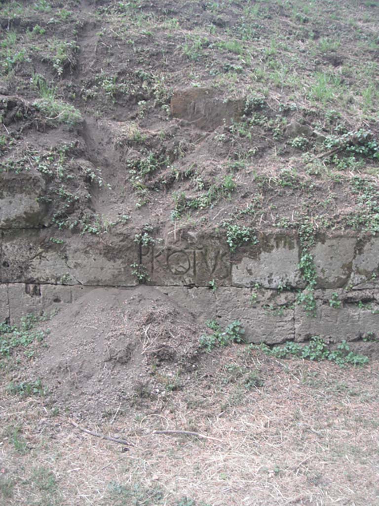 Tombs PSPN Pompeii. May 2011. Section of wall with inscription to PROTVS near Tower VII. Photo courtesy of Ivo van der Graaff.