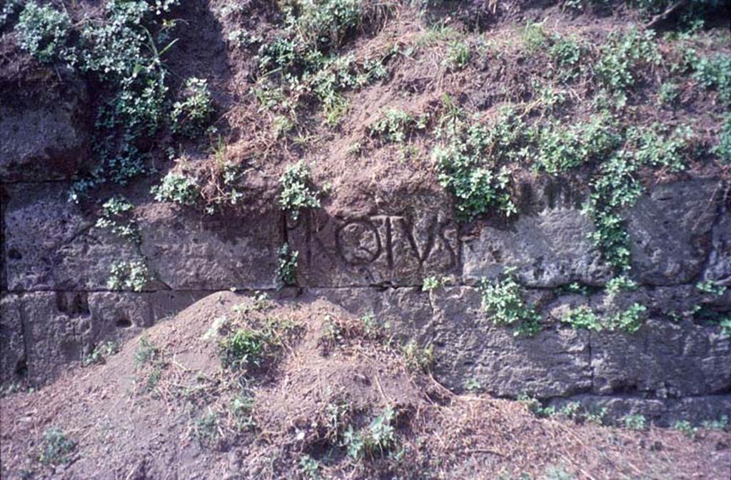 Tombs PSPN Pompeii. July 2011. Inscription to PROTVS on walls near Tower VII. 
Photo courtesy of Rick Bauer.
According to Epigraphik-Datenbank Clauss/Slaby (See www.manfredclauss.de) this reads

Protus      [CIL IV, 2500 = CIL X, 8357 = AE 2004, +00398]
